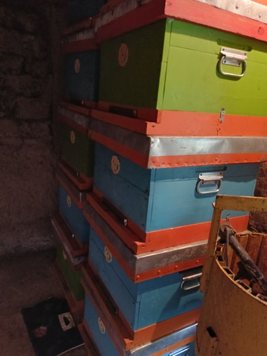 Продам улья сущ.