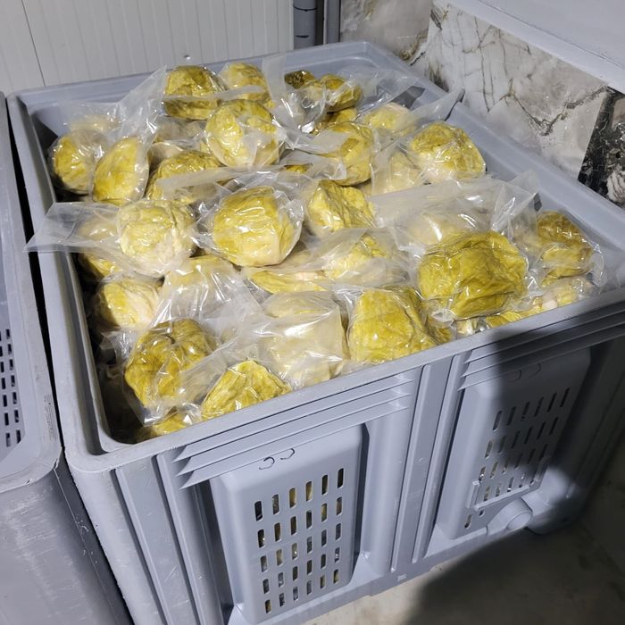 Varză murată vidată și vrac !