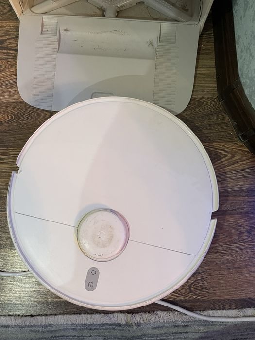 Робот пылесос, Самоочищающаяся