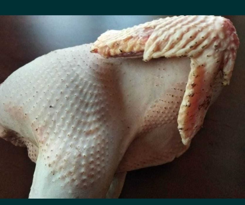 Мясо Индейки высшего качества