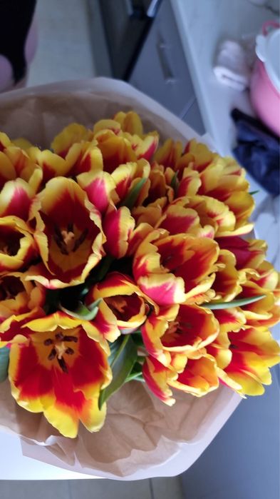 Тюльпаны 25 шт 15 000