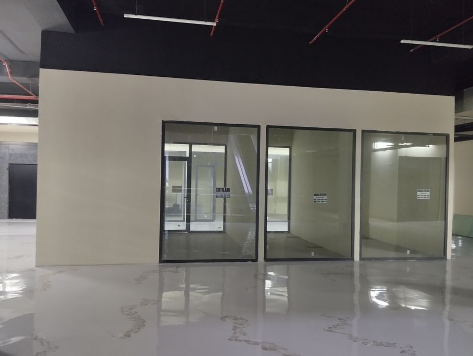 Строй Март Ибн Сино