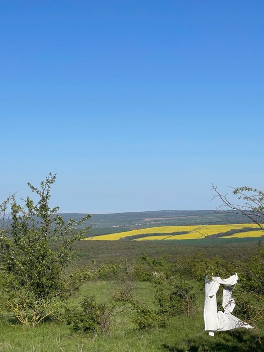 Продава се Земеделски имот в с. Константиново, Област Варна -  кв.м за 1659 €/дка - Снимка #4