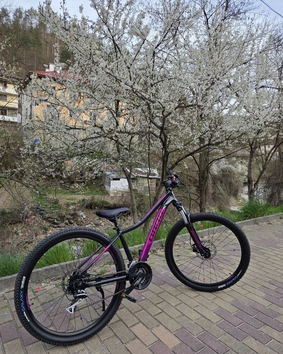 Drag Grace  27.5
