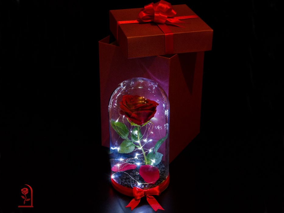 Оригинален Подарък за Жена / Вечна Роза в ГОЛЯМА Стъкленица