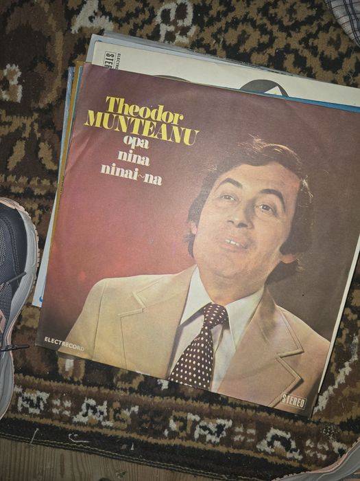 Discuri  de vinil