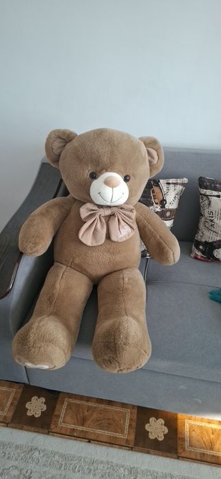 Мишка үлкен жаңа