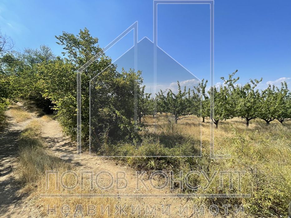 Продава се Парцел в с. Брестник, Област Пловдив - 1620 кв.м за 40 €/кв.м - Снимка #1