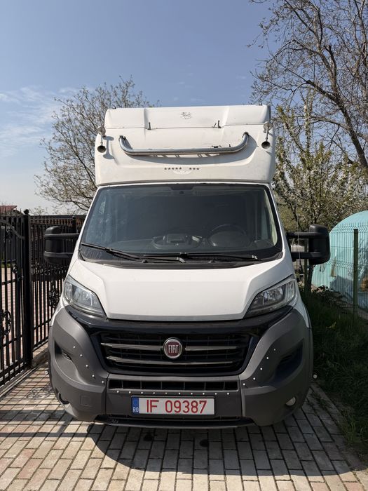 Autoutilitara Fiat Dicato Maxi 2.3D