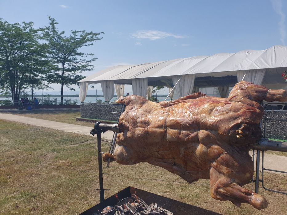 evenimente protap rotisor animale vitel miel purcel