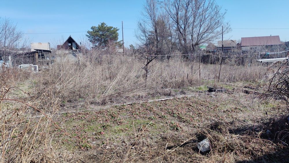 Продам дачу в Павлодаре