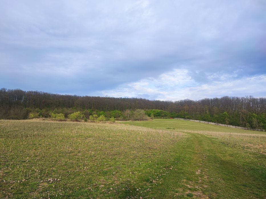 Teren  împrejmuit 6,40 ha