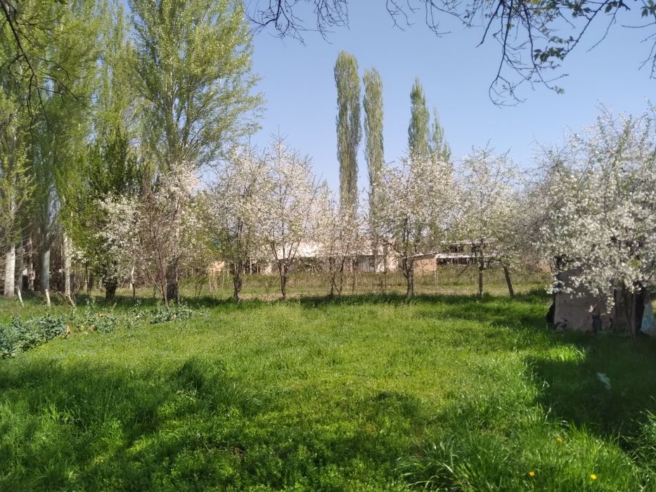 Aydaraulda 20 sotikli uy sotiladi