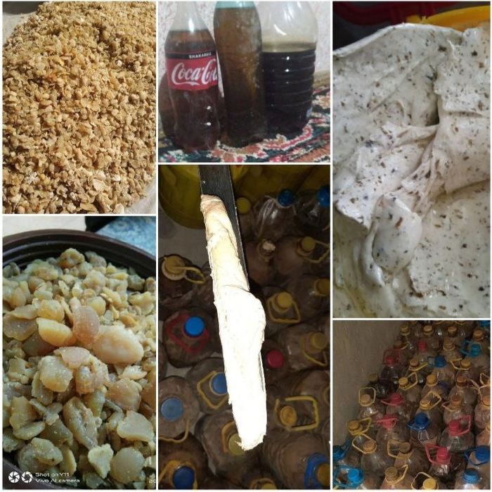 Loyiham buyicha tajribaga egaman ishga garantiya