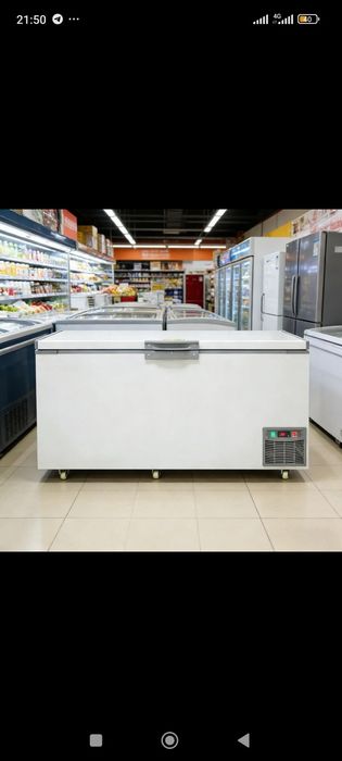Morozilka bor yngi