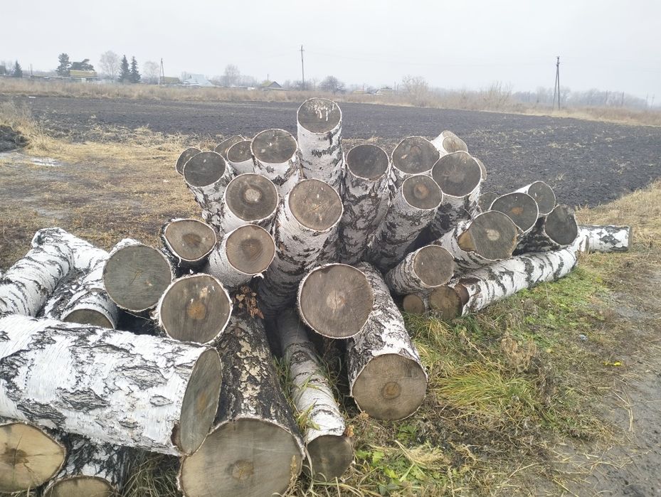 Деловой лес(кругляк)