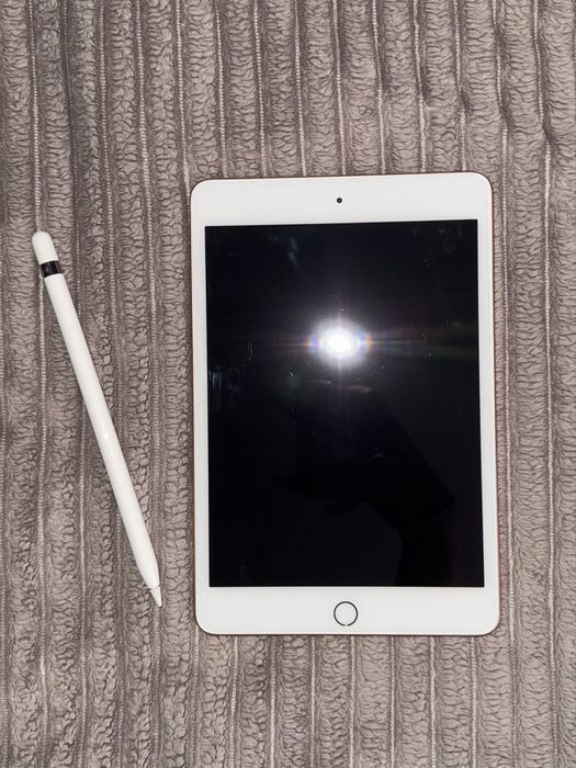 Ipad mini 5 Розовый apple pencil