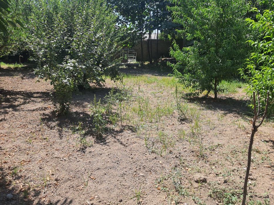 Занги ота туманида ер сотлади