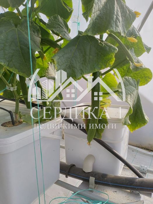 Продава се Парцел в Благоевград, Втора промишлена зона - 1901 кв.м за 81 €/кв.м - Снимка #3