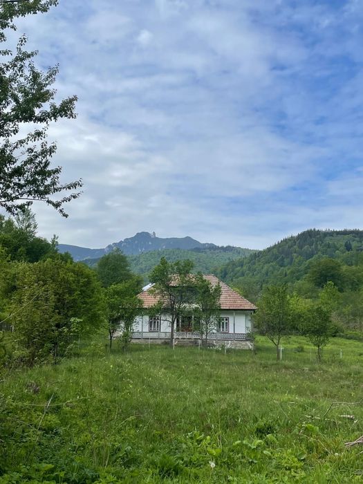 Teren si casa - Izvorul alb