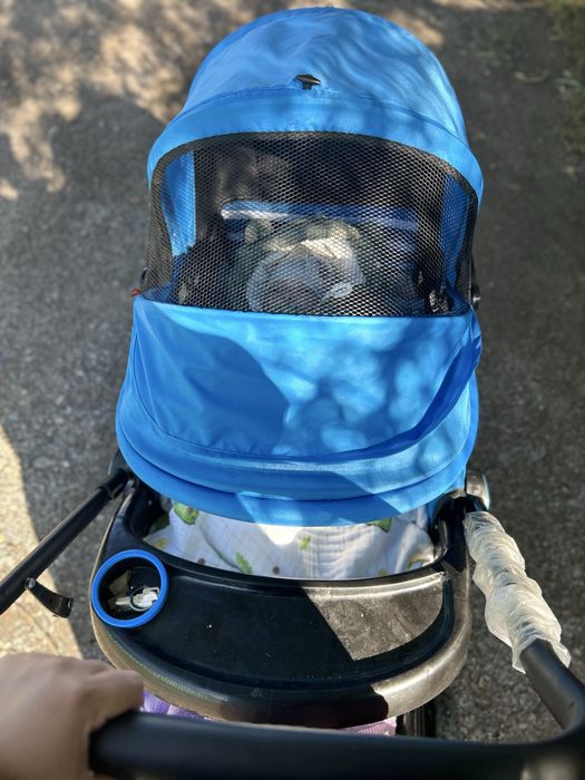 Детские коляски.