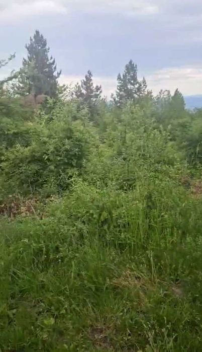 Инвестиционен парцел на пеша разстояние от Младост 4 и езеро Панчарево