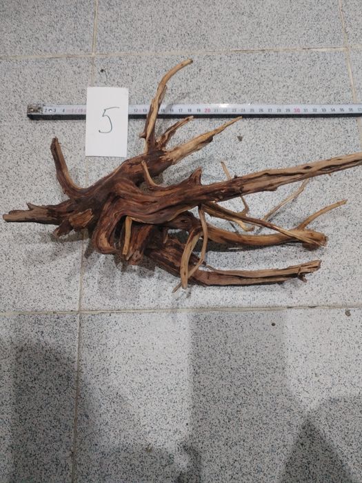 Корени за аквариум, терариум, паладиум