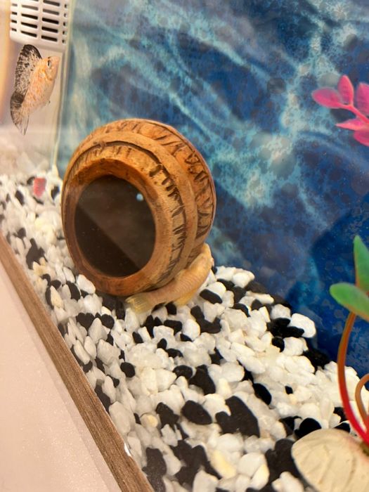 Продам Аквариум