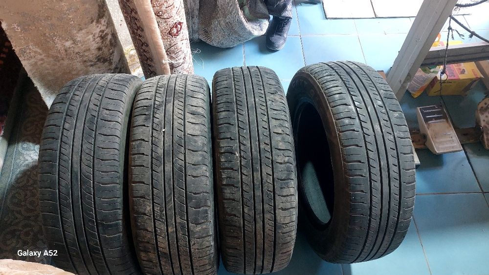 Шиели коше балаби43