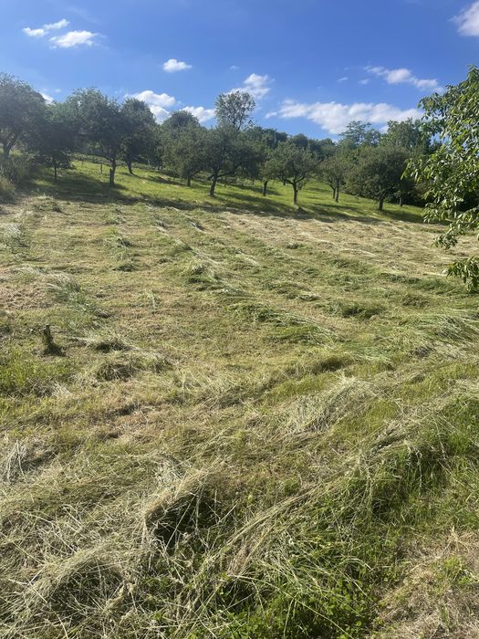 Vand teren intravilan in Valcele, Cluj