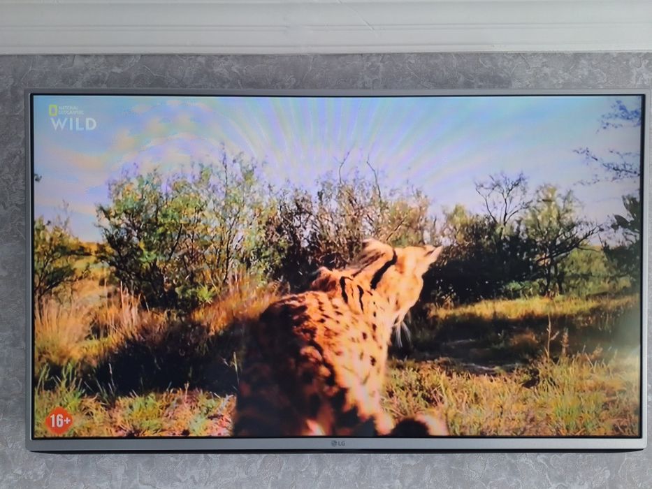 LG  43 smartmas  + uzdigital  karta