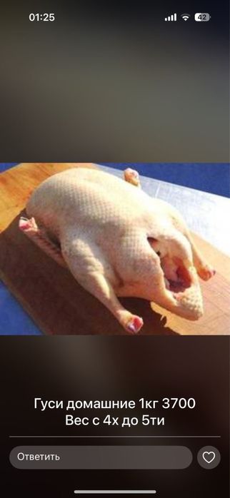 Гуси домашние 3700кг