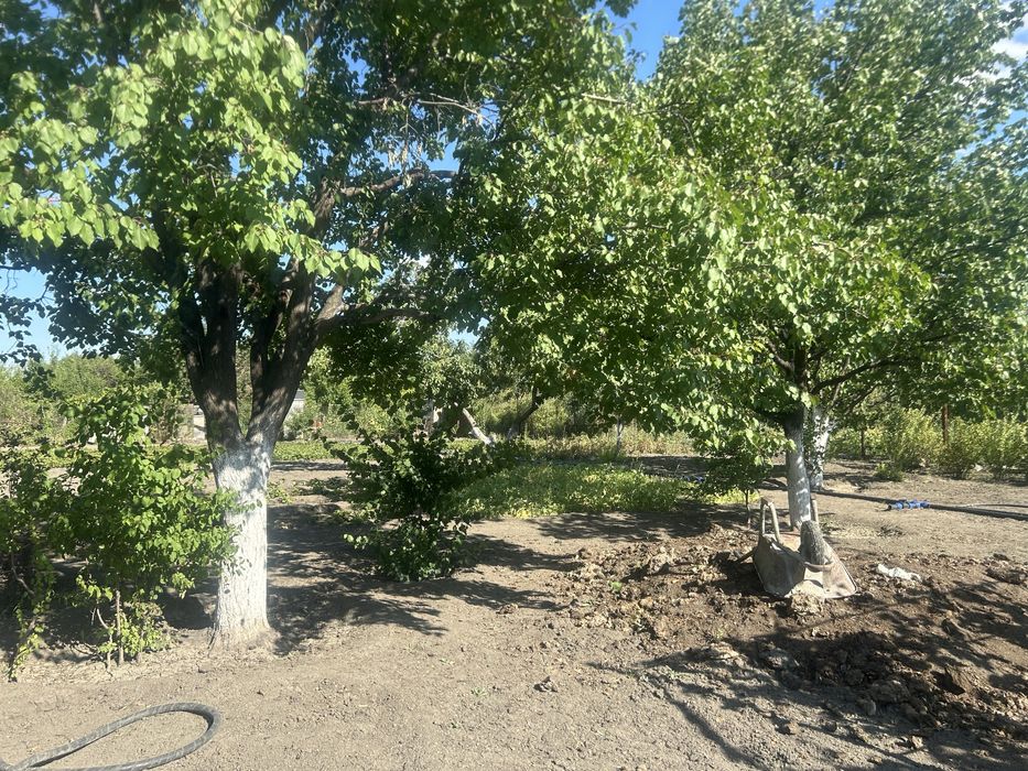 Память-Ильичадан дача сатылады