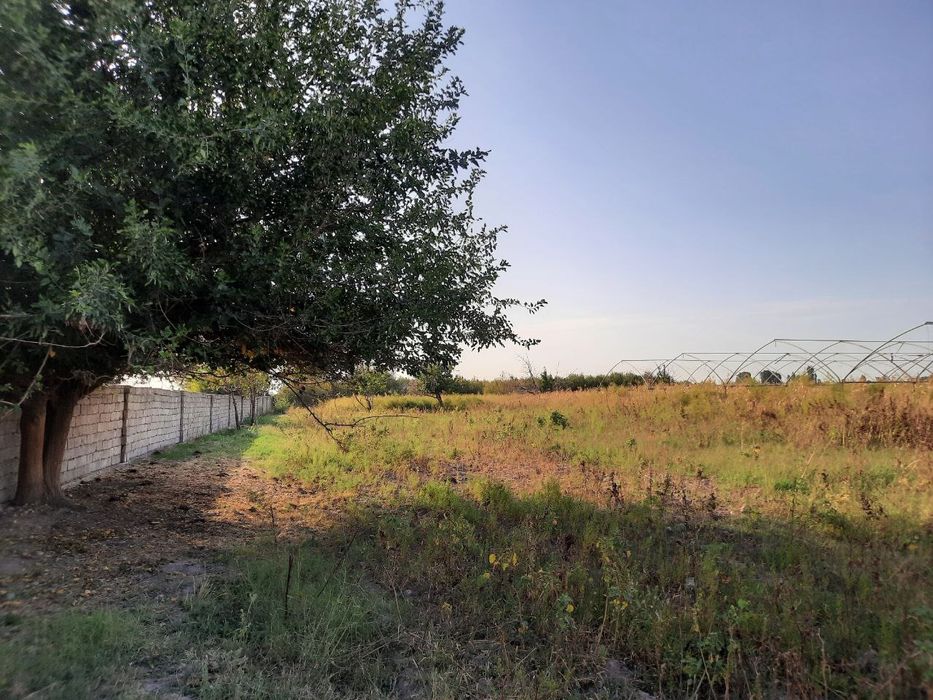 Yuqori chirchiq tumanida 200 sotok yer sotiladi