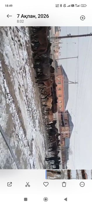 Жабағы сатылады.