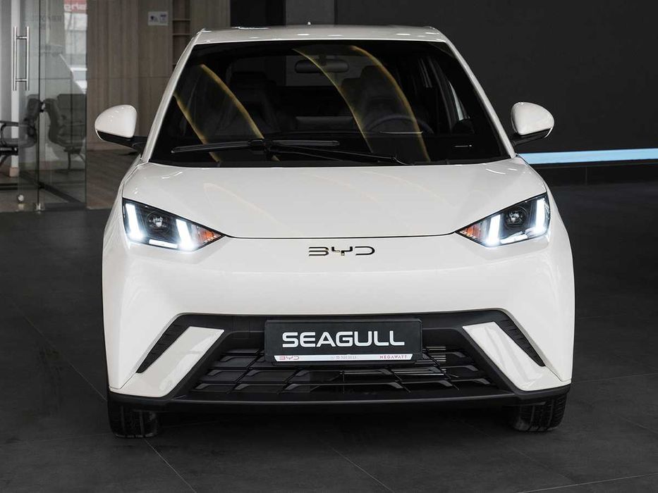 SEAGULL ( 405 KM Flying )