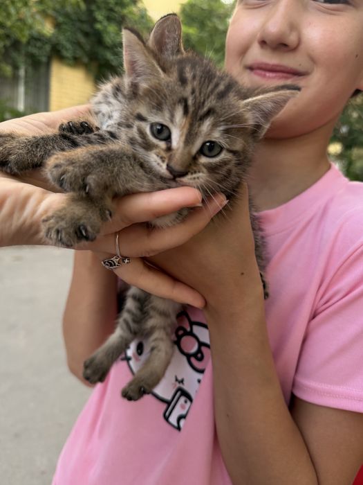 2 девочки дом шалкыма 4 подьезд