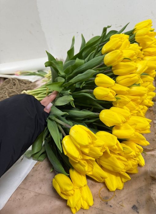 Оптом и в розницу от 360