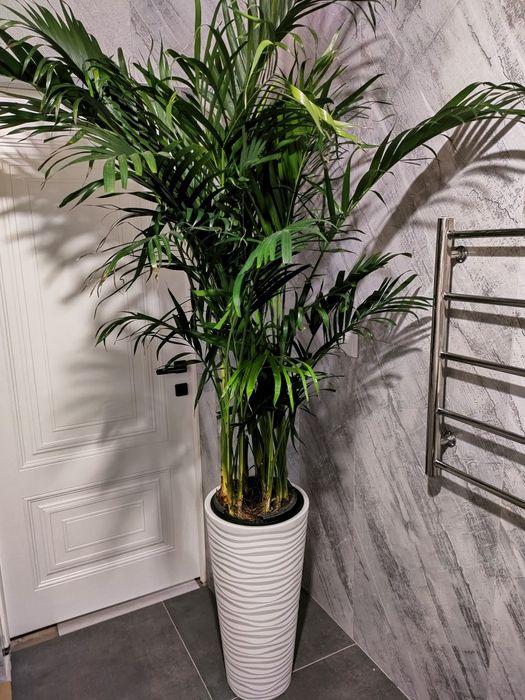 Женское счастье. Доставка