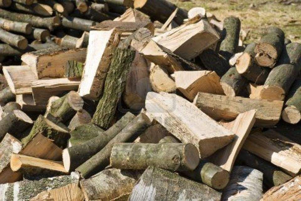 Lemne de foc uscate