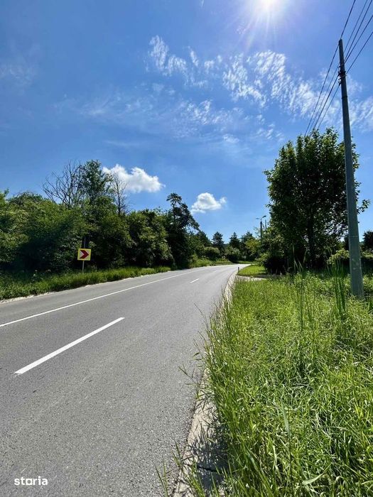 Teren intravilan 2778 mp Bucium Iași, Dublă deschidere 45 m la asfalt