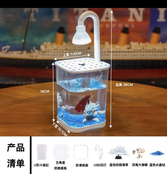 Аквариум и рыбка Петушок