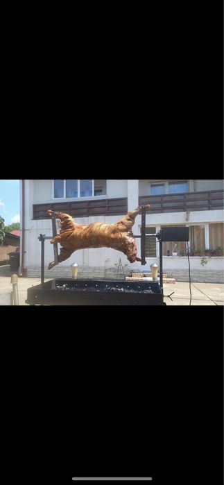 Protap de inchiriat si berbecuti