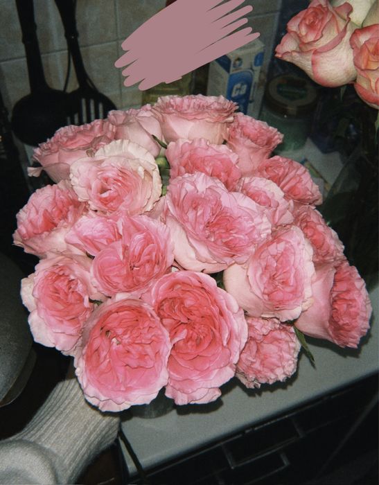 25+25 штук розалар