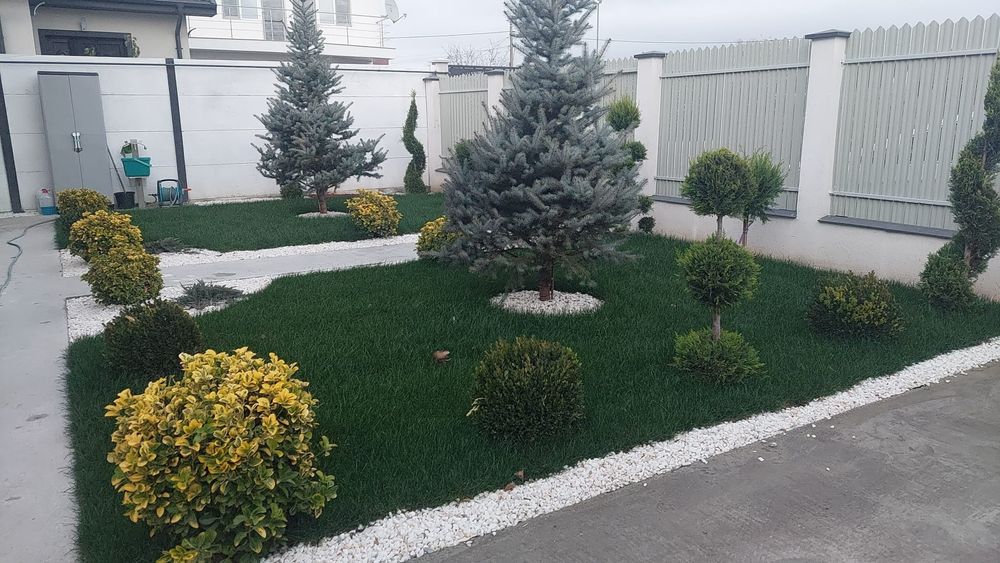 Amenajări grădini gazon și plante ornamentale