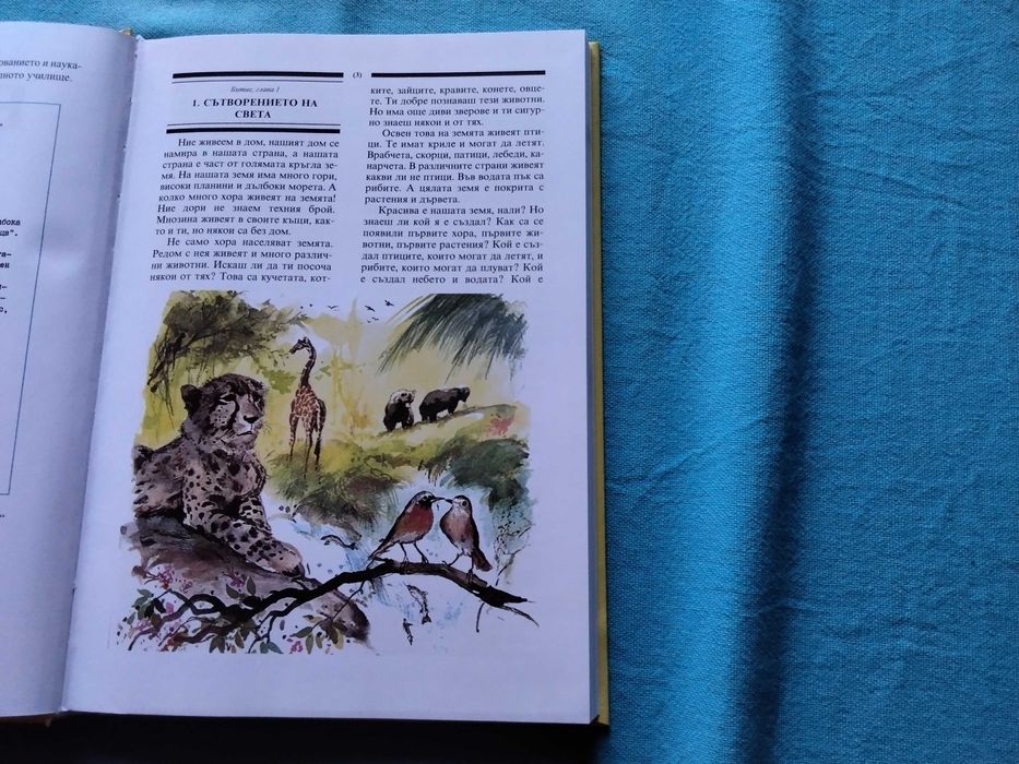 страхотна илюстрована с картинки и текст детска библия