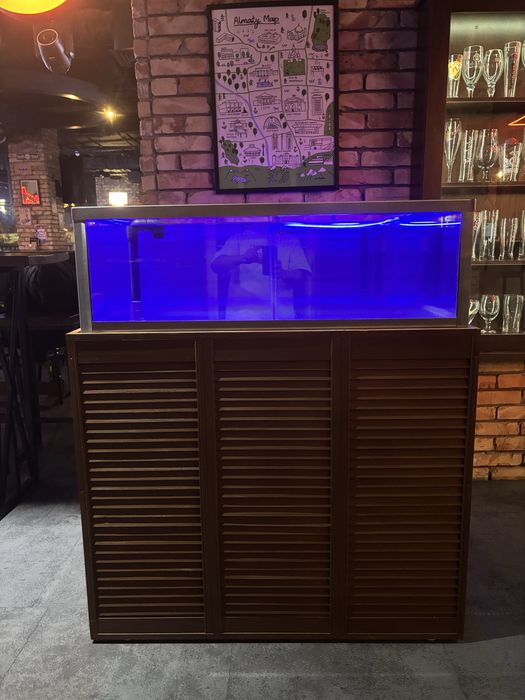 Чистка аквариумов