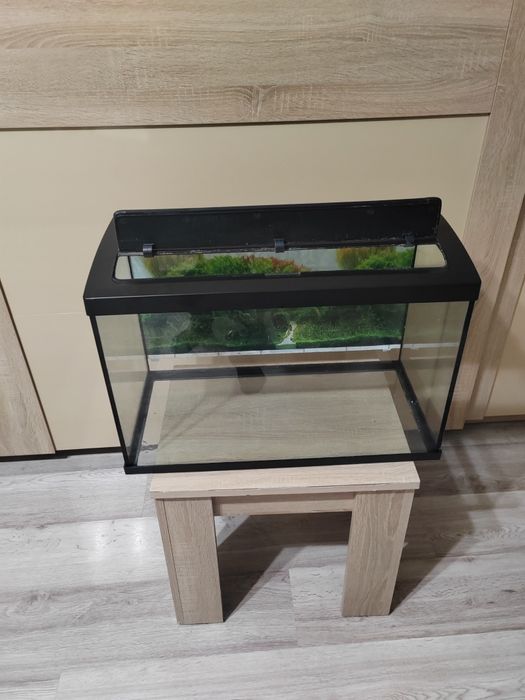 Acvariu CLASSICA  64litri