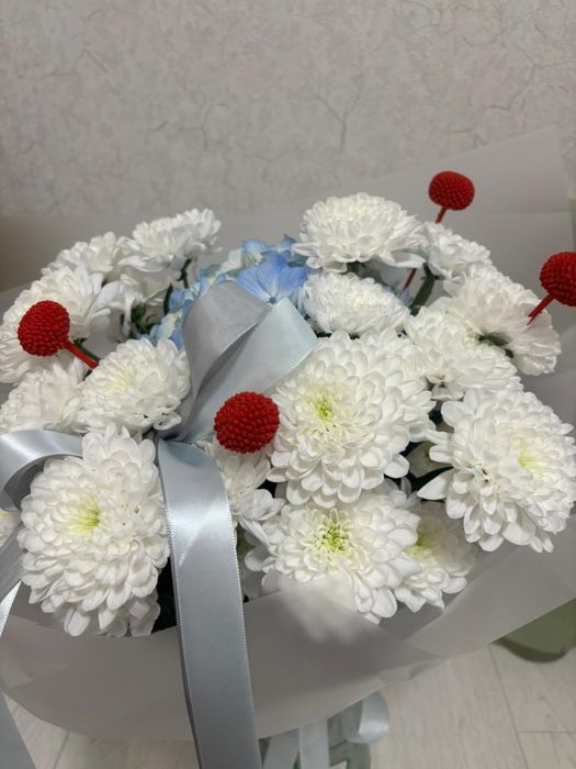 Продам очень красивые хризантемы