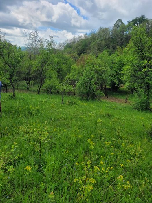 Teren de vanzare Varfuri, Dambovita